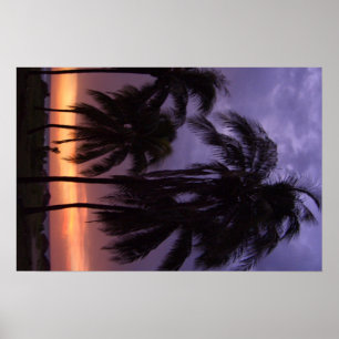 Póster Puesta del sol tropical de la playa