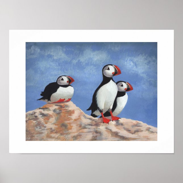 Póster Puffin Trio (Frente)