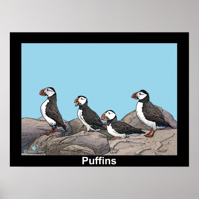 Póster Puffins atlánticos (Frente)