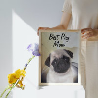 Pug Best Mom