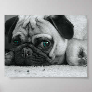 Póster Pug "Breena"