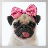 Pug con arco rosado