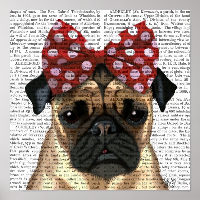 Póster Pug con lazo rojo manchado en la cabeza (Frente)