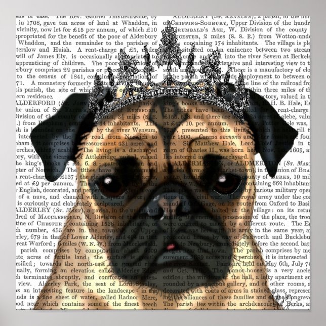 Póster Pug Con Tiara (Frente)