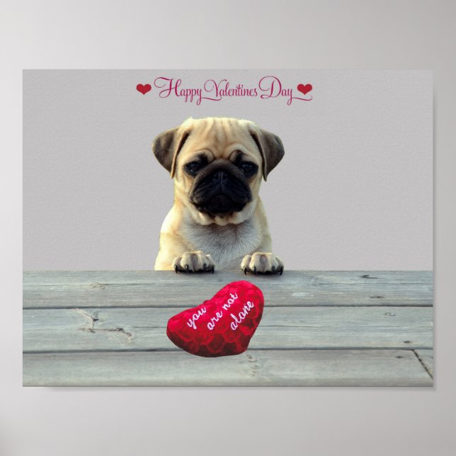 Póster Pug deseando feliz día de San Valentín poster del  (Frente)