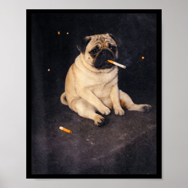 Póster Pug divertido fumando meme cigarrillo perro meme c (Frente)