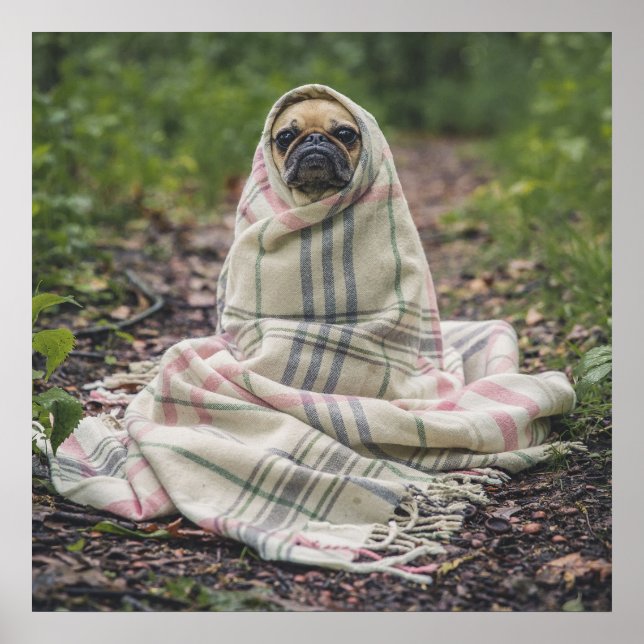 Póster Pug En Una Cama (Frente)