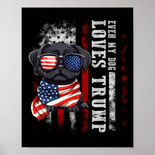 Póster Pug Negro Hasta Mi Perro Ama A Trump Gracioso