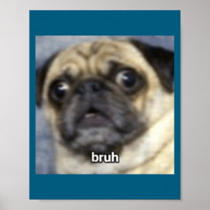 Póster Pug Perro Borroso Divertido Hermano Sorprendido