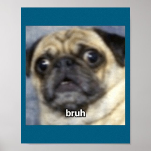 Póster Pug Perro Borroso Divertido Hermano Sorprendido (Frente)