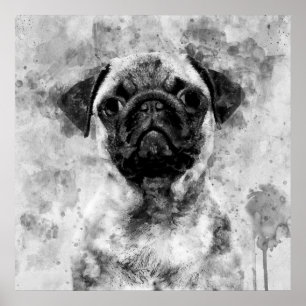 Póster Pug Perro Negro y Blanco Acuarela 01