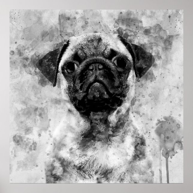 Póster Pug Perro Negro y Blanco Acuarela 01 (Frente)
