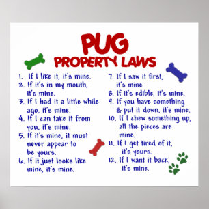 PÓSTER PUG PL2