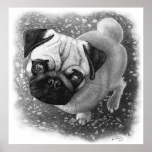 Póster Pug Puppy Dog Art