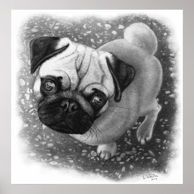 Póster Pug Puppy Dog Art (Frente)