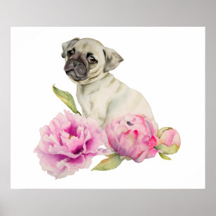 Póster Pug y peonías   Ilustracion acuarela