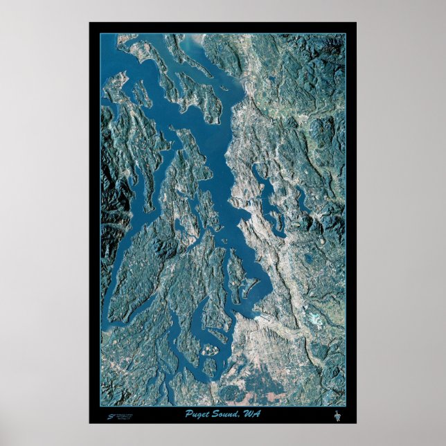 Póster Puget Sound, poster satelital de Washington (Frente)