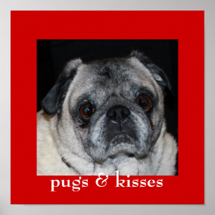 Póster Pugs & Kisses Poster