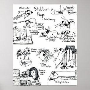Póster Pugs testarudos