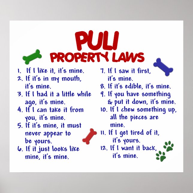 PÓSTER PULI PL2 (Frente)