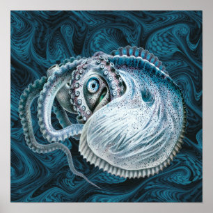 Póster Pulpito calamar nautilus argonauta vintage