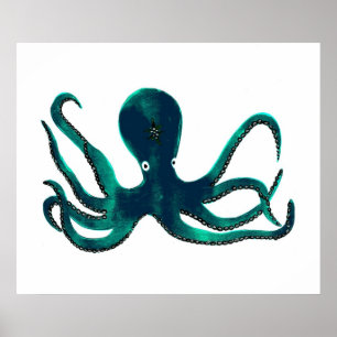 Póster Pulpo de la turquesa