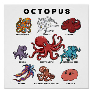 Póster Pulpo Kawaii de los Mundos