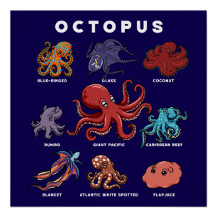 Póster Pulpo Kawaii de los Mundos