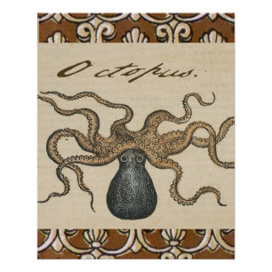 Póster Pulpo Kraken Antiguo Marino Vida Silvestre Costera