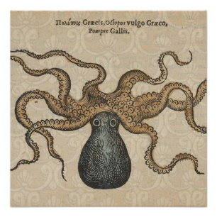 Póster Pulpo Kraken Antiguo Marino Vida Silvestre Costera