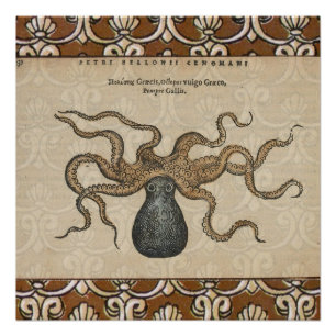 Póster Pulpo Kraken Antiguo Marino Vida Silvestre Costera