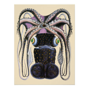 Póster Pulpo o Calamar Gigante, Animal de Vida Marina Ant