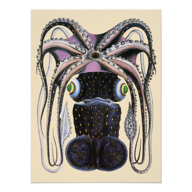 Póster Pulpo o Calamar Gigante, Animal de Vida Marina Ant (Anverso)