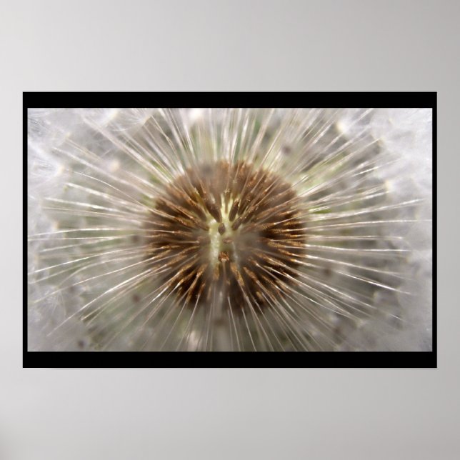 Póster Pulsar (Frente)