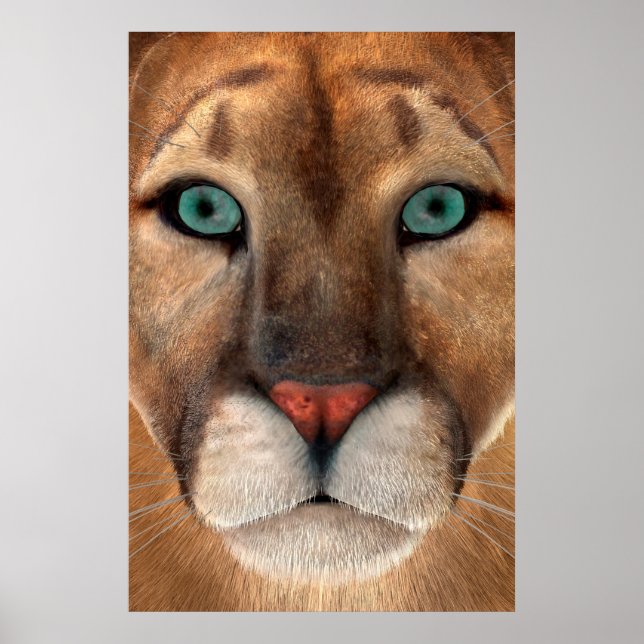 Póster Puma (Frente)