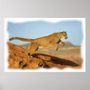 PÓSTER PUMA