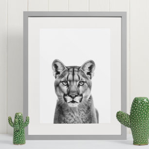 Póster Puma León Montés Gato Grande Negro Blanco 