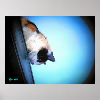 Póster Puma mira hacia abajo por djoneill