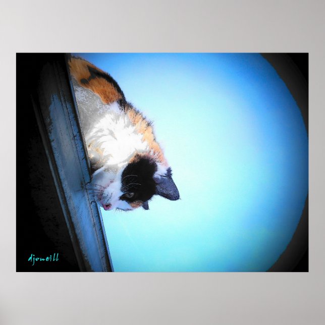 Póster Puma mira hacia abajo por djoneill (Frente)