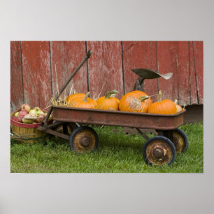 Póster Pumpkins in old wagon