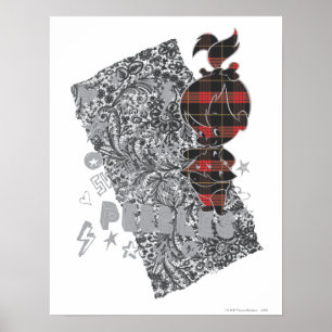PÓSTER PUNK PEBBLES™