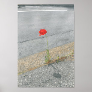 Póster Punk Poppy (Arthur)