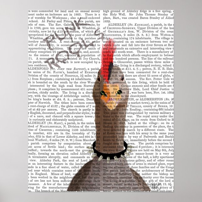 Póster Punk Rock Goose (Frente)