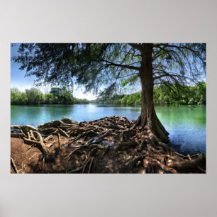 Póster Punta de la Isla RedBud en el lago LadyBird - Aust