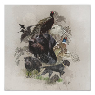 Póster Puntero con cable alemán , apunte continental