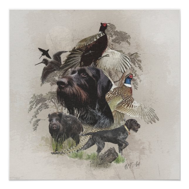 Póster Puntero con cable alemán , apunte continental (Anverso)