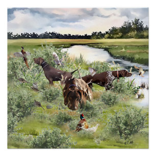 Póster Puntero de Shorthairo alemán