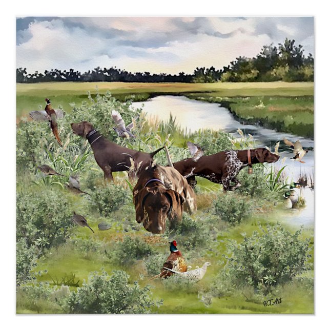 Póster Puntero de Shorthairo alemán (Anverso)