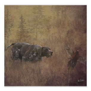 Póster Puntero de Shorthtransmitió alemán