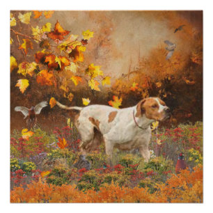 Póster Puntero inglés, Tapiz de otoño